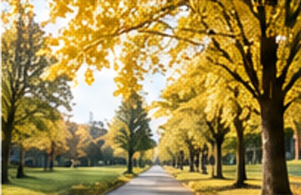 Autumn trees on campus